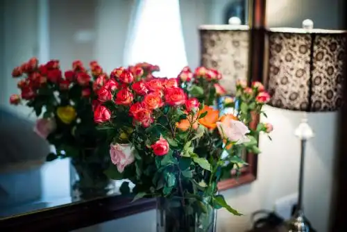 Rathkeale House - 37