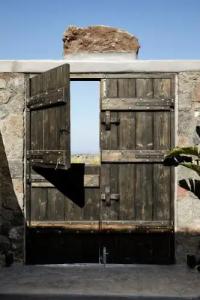 White Pearl Cavalieri - 46