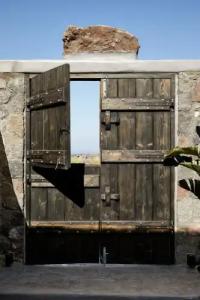 White Pearl Cavalieri - 64