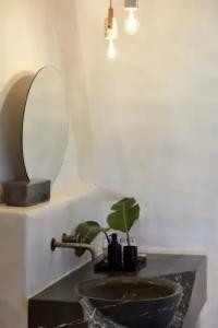 White Pearl Cavalieri - 47