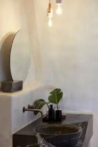 White Pearl Cavalieri - 94