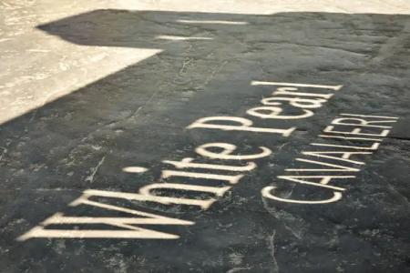 White Pearl Cavalieri - 32