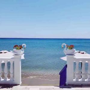 Potokaki Beachfront - 12