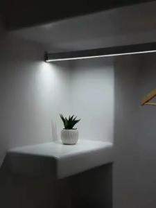 Seaside by Manos - 51