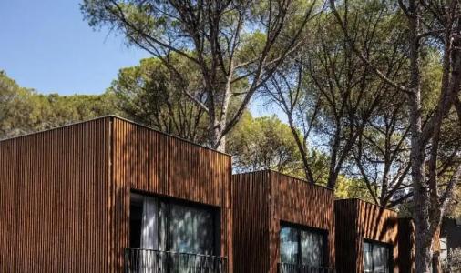 Unique Life Style - 62