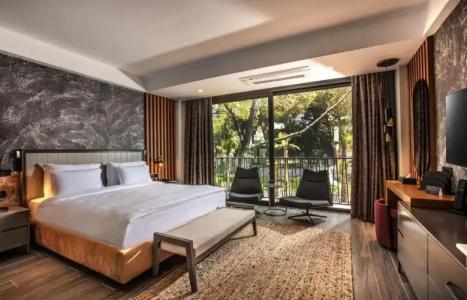 Unique Life Style - 60