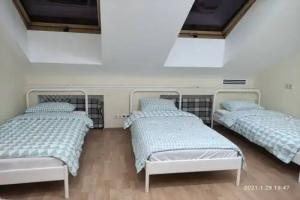 Victoria-3, St. Petersburg