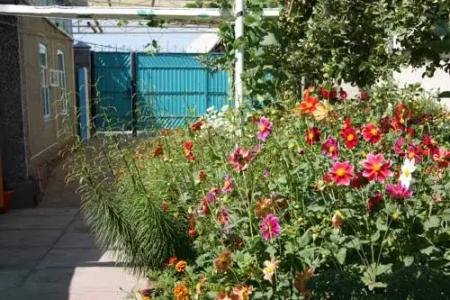 Issyk-kul cottage house - 0