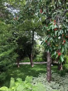 Family Guest House - 10