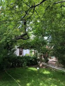 Family Guest House - 9