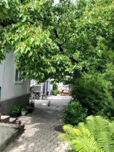Family Guest House - 6