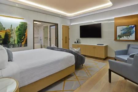 Walt Disney World Swan Reserve - 84