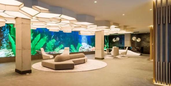 Ilunion San Mamés - 13