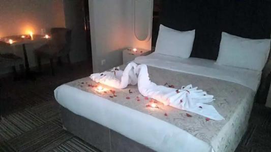 Alya Suite - 113
