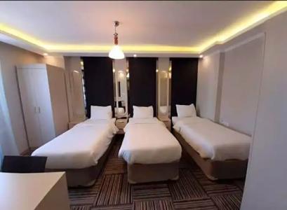 Alya Suite - 104