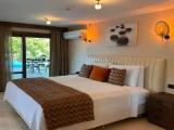 Deluxe Double room with pool view