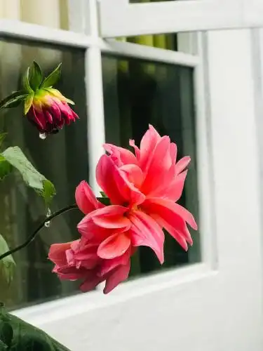 Kings Cottage - 27
