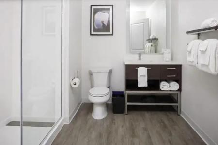 TownePlace Suites Orlando Airport - 44