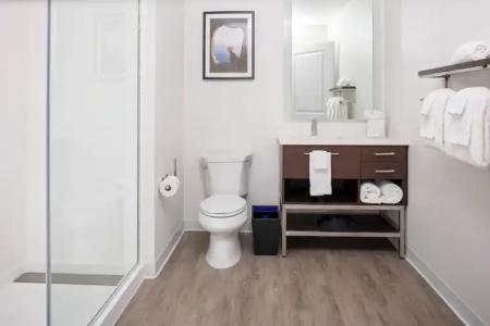 TownePlace Suites Orlando Airport - 31