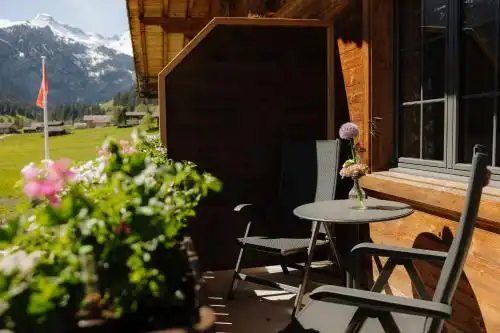 Apart Adelboden am Dorfplatz - 9
