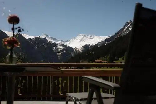 Apart Adelboden am Dorfplatz - 35