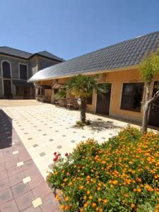 База у Сани - 25