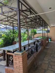 База у Сани - 31