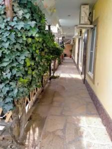 База у Сани - 12