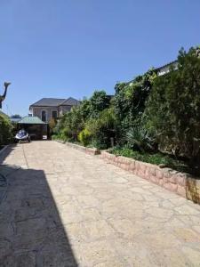 База у Сани - 1