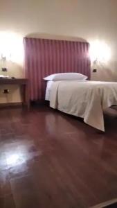 CANELLA - 19