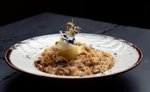 Espero Royal Stay - 12