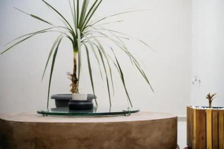 Espero Royal Stay - 45