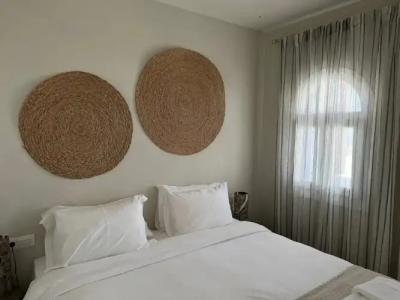 The Noverian Bios Santorini - 113