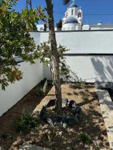 The Noverian Bios Santorini - 121