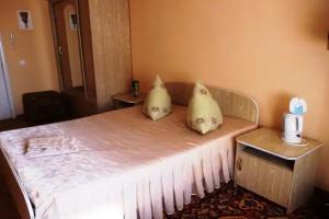 Druzhba Hotel, Dobryanka