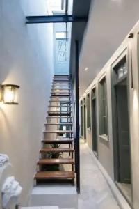 Acron of Plaka by YHA - 10