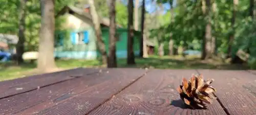База отдыха Энергетик - 27