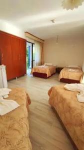 Artemis Yörük Pamukkale Denizli - 29