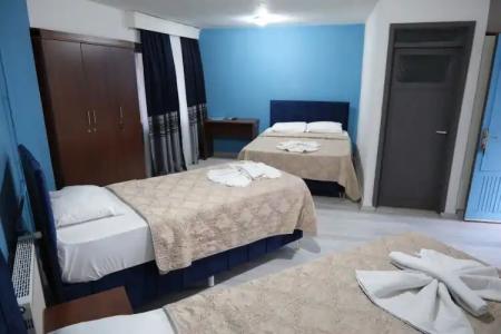 Artemis Yörük Pamukkale Denizli - 2