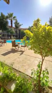 Artemis Yörük Pamukkale Denizli - 27