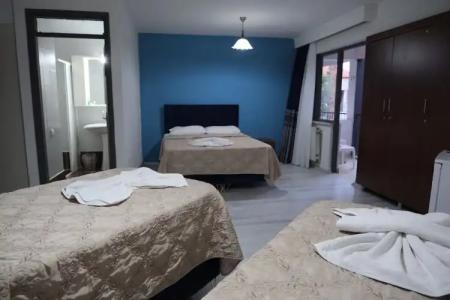 Artemis Yörük Pamukkale Denizli - 37