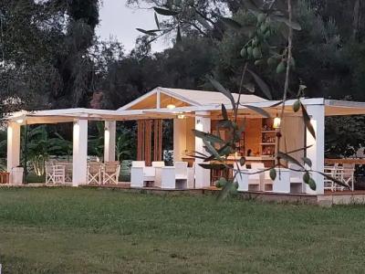 Amelia's Garden - 13