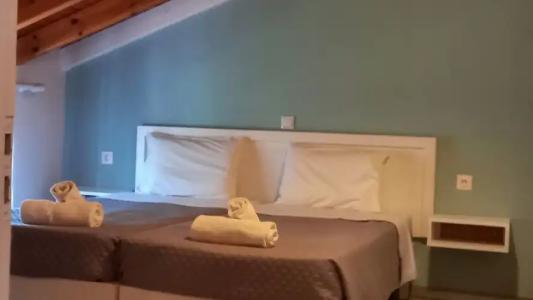 Amelia's Garden - 26