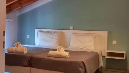 Amelia's Garden - 32