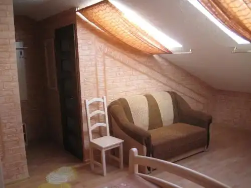 Mini-otel "Zolotoy Lev" - 15