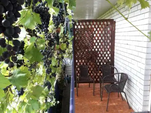 "Akvamarin" Guest house - 18