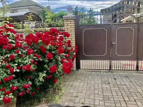 Peski Guest house - 110
