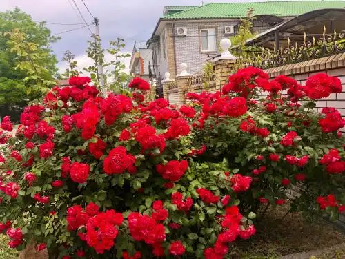 Peski Guest house - 9