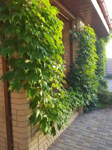 Sardiniya Guest house - 22