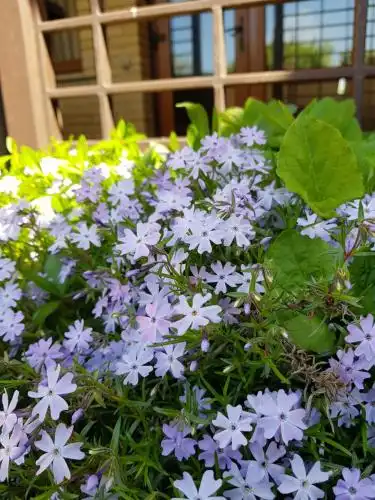 Sardiniya Guest house - 12